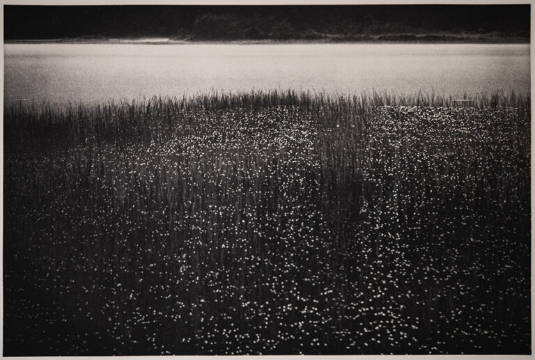 Photogravures | Eddie Soloway Photography